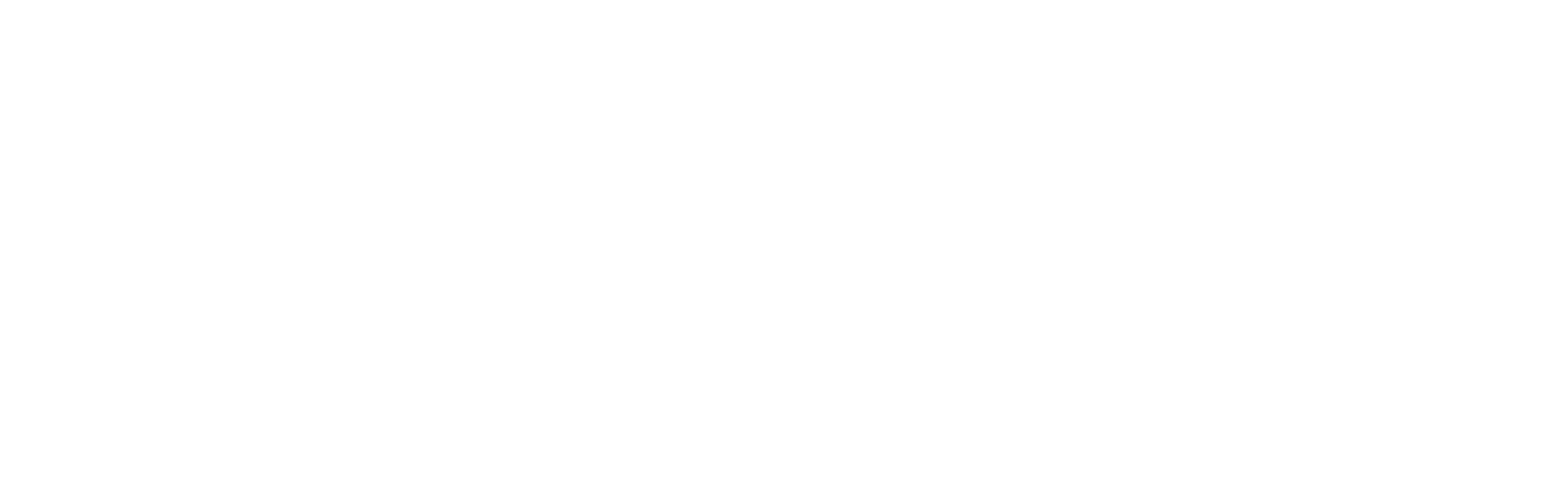 fraud.com